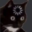buffering_cat
