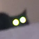 catstareglare