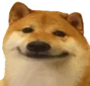 Happy_Doge Happy_Doge
