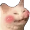 Flushedcat flushedcat Discord Emoji