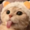_CATbleh
