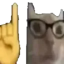 Erm