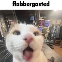 flabbergastedpussy