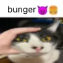 bungerpussy