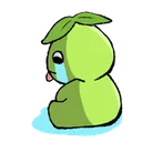 Msadge