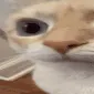 uuh1