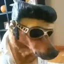 61353ae55237d551c20e93e386af3888