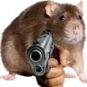 hamster