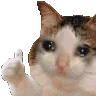 SadCatKill