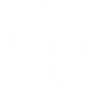 lungs