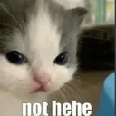 nothehe
