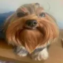 d_