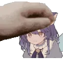 maggiepet