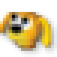 msn_dog