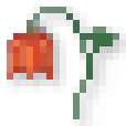 msn_wiltedrose