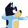 bandit