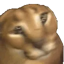 z_floppaspin