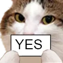 Cat Yes CatYes Discord Emoji