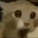 woa