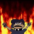 CHAOS