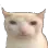 catbruh