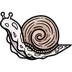 Cottage_Snail