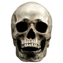 Skull7