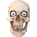 Skull5