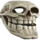 Skull4