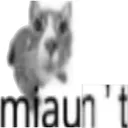 miaunt