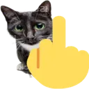 4287middlefingercat