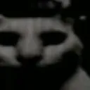 skinwalker