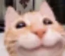 Smile_Cat