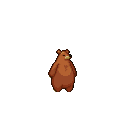 bear