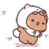 kitten_spinning
