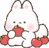 bunnyeat