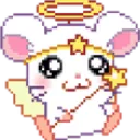 angelhamster