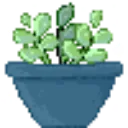 succulentplant