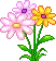 colorfulflowers