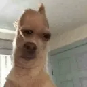 emoji_6