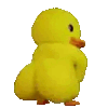 duckshaker