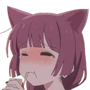 KikuriCat