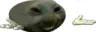 xddshrug