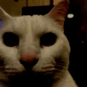 demon demon