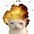 Boomcat