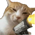 catoshoot