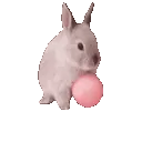 bunnyjump