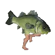 fishrunning