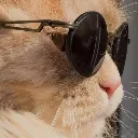 What_youlooking_at