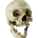 :emoji_23: